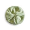 Traveler's Pattern - T18 Celery Slouch Traveler's Pattern - T18 Celery Slouch