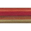 Lizbeth Cordonnet Cotton Size 80 - Autumn Spice HH80 136