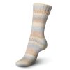 Regia Cotton Cascata Color Sock - Tagbo 03997