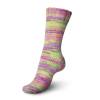 Regia Sock Yarn Fantastico - 06073 Fresh Regia Sock Yarn Fantastico - 06073 Fresh