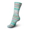 Regia Sock Yarn Fantastico - 06075 Beach (strand) Regia Sock Yarn Fantastico - 06075 Beach (strand)