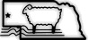 Brown Sheep